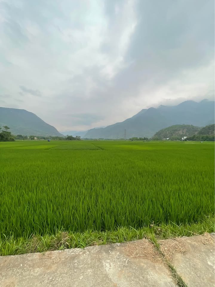 Hanoi to Van Son Cycling Tour 3 Days: Explore the Roof of Muong Bi
